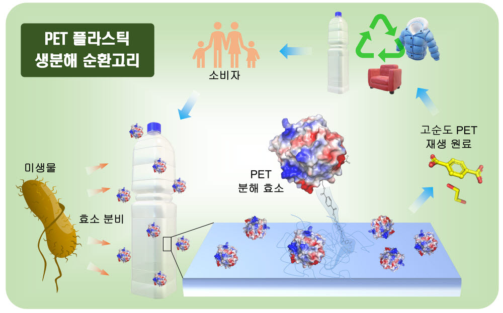 PET 플라스틱 생분해 순환고리 개념도