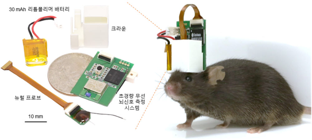 초경량 무선 뇌 신호 측정 시스템 및 시스템이 장착된 생쥐