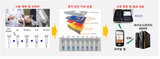 구제역 고감도 면역 분자 진단 및 전송 시스템