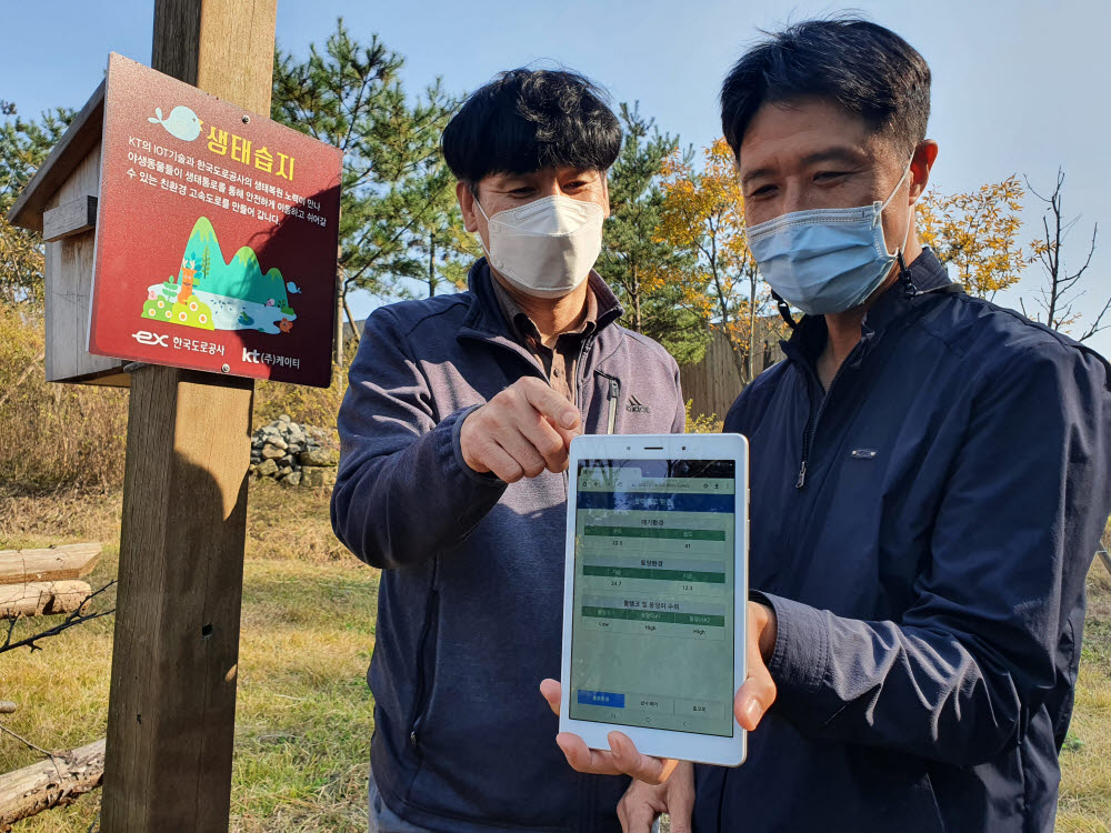 한국도로공사와 KT 직원이 모니터링 앱을 통해 생태습지 환경을 체크하는모습