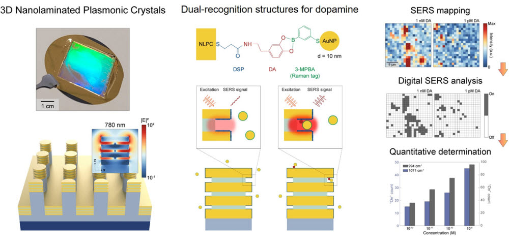연구팀이 공동개발한 디지털 표면증강라만분광(SERS) 센싱 플랫폼