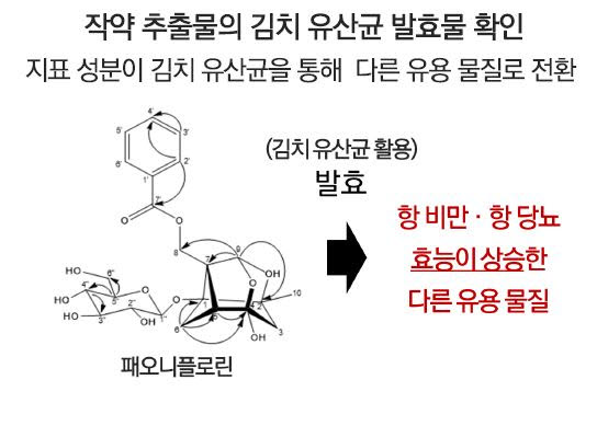 연구결과 개요