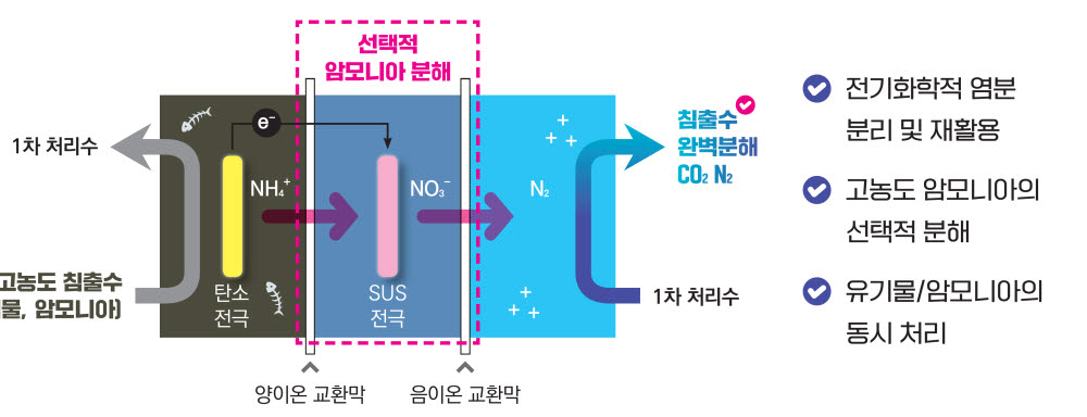 [테크비즈코리아 2021]<11>고농도 유기물, 암모니아, 인 폐수 동시처리 기술