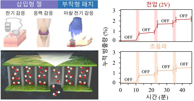 자극 감응형 기능성 나노입자 및 하이드로젤 활용 연구 이미지