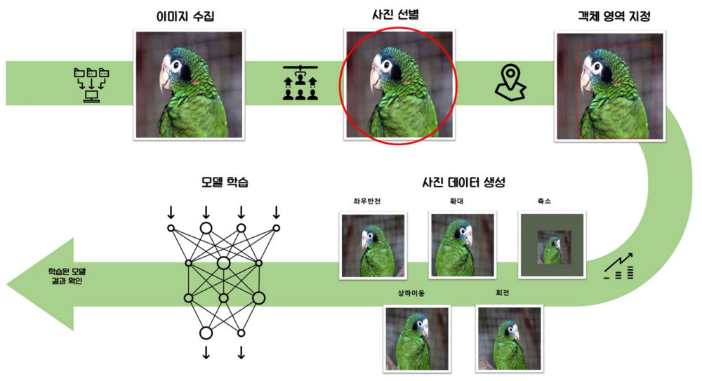 인공지능(AI) 딥러닝 기반 객체인식 기술을 이용한 앵무새 종 판별 연구체계도