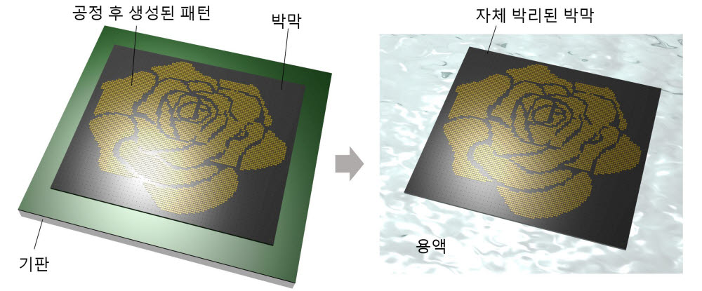 반도체 공정 후 박막이 기판으로 부터 자체 박리 되어 분리되는 모습