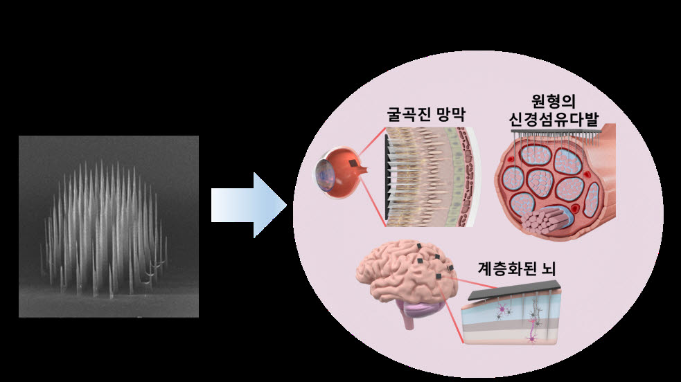 KIST, 똑똑한 3차원 마이크로 니들 구현...작은 힘으로 조직 손상 최소화