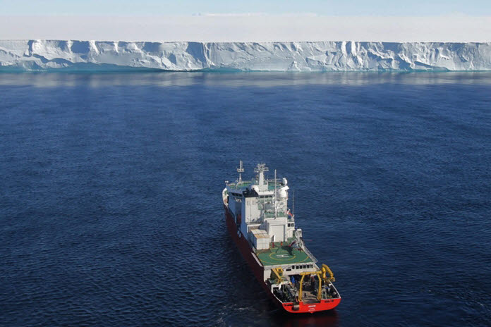 북극곰이 사라진다? 2022년 해양생태계 대재앙 쓰나미 계속