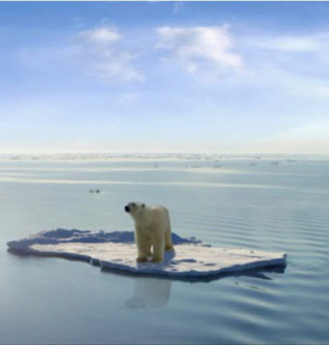 북극곰이 사라진다? 2022년 해양생태계 대재앙 쓰나미 계속