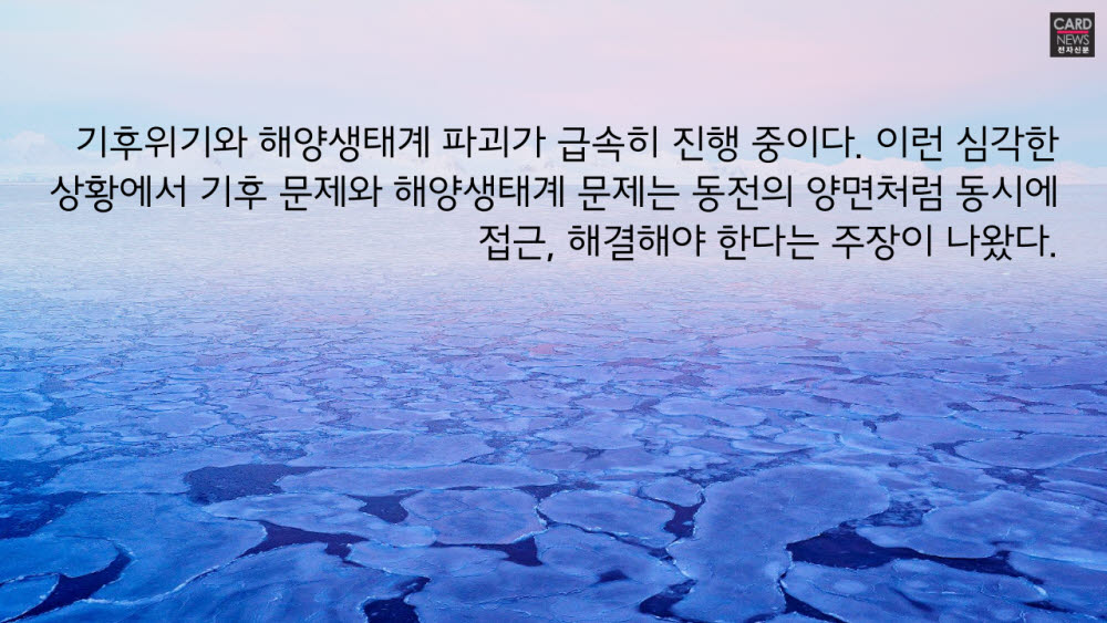 [카드뉴스]해양생태계 대재앙 쓰나미