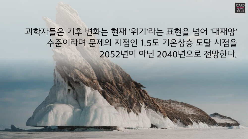 [카드뉴스]해양생태계 대재앙 쓰나미