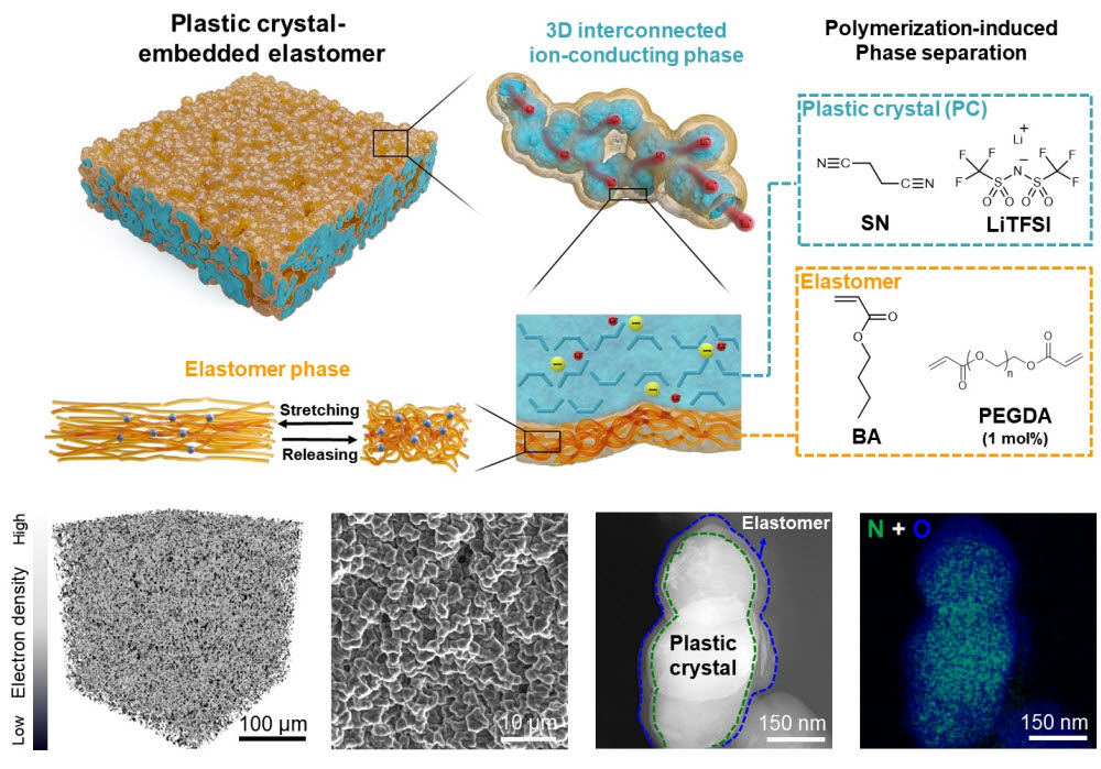 엘라스토머 기반 고분자 전해질 구조 및 전자현미경 이미지
