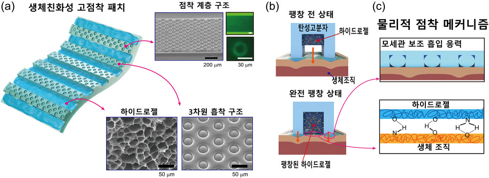 청정부착이 가능한 생체친화성 전자 패치 개념도. 사진=방창현 성균관대 교수