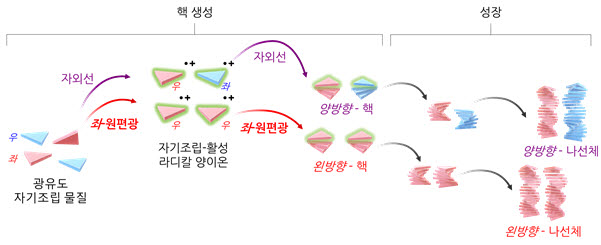 자기조립체에서 초분자 카이랄성이 발현되는 메커니즘 모식도