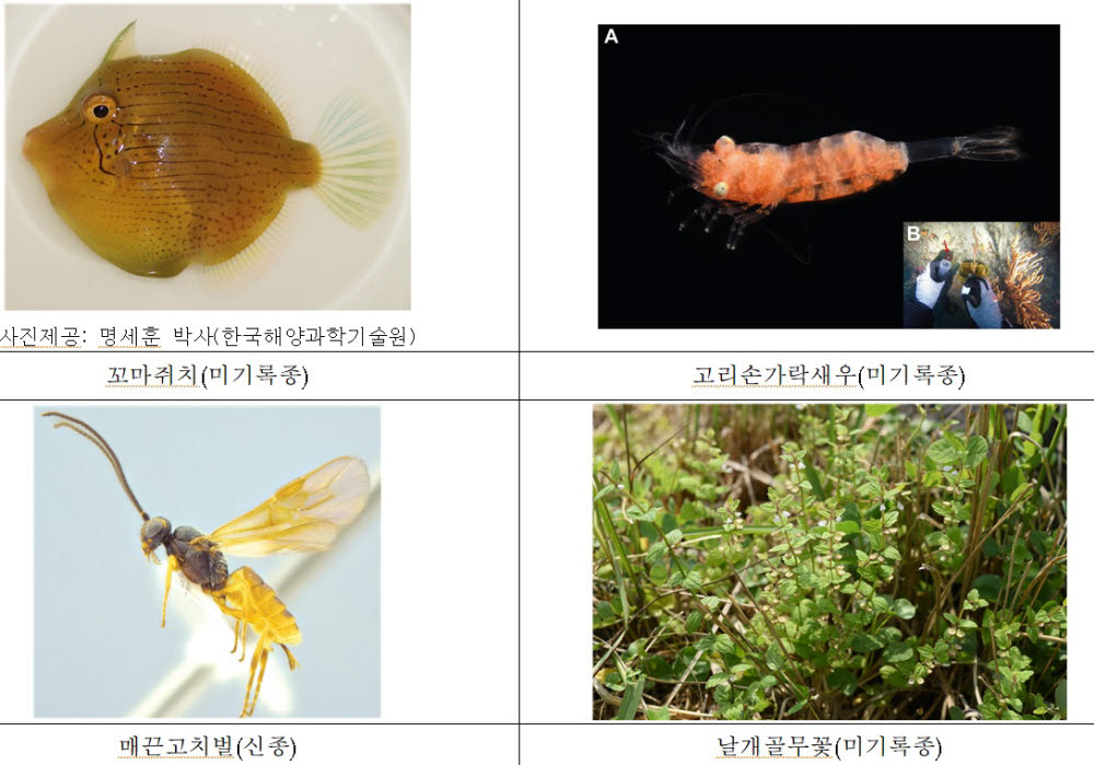 새로 추가된 생물종 사진