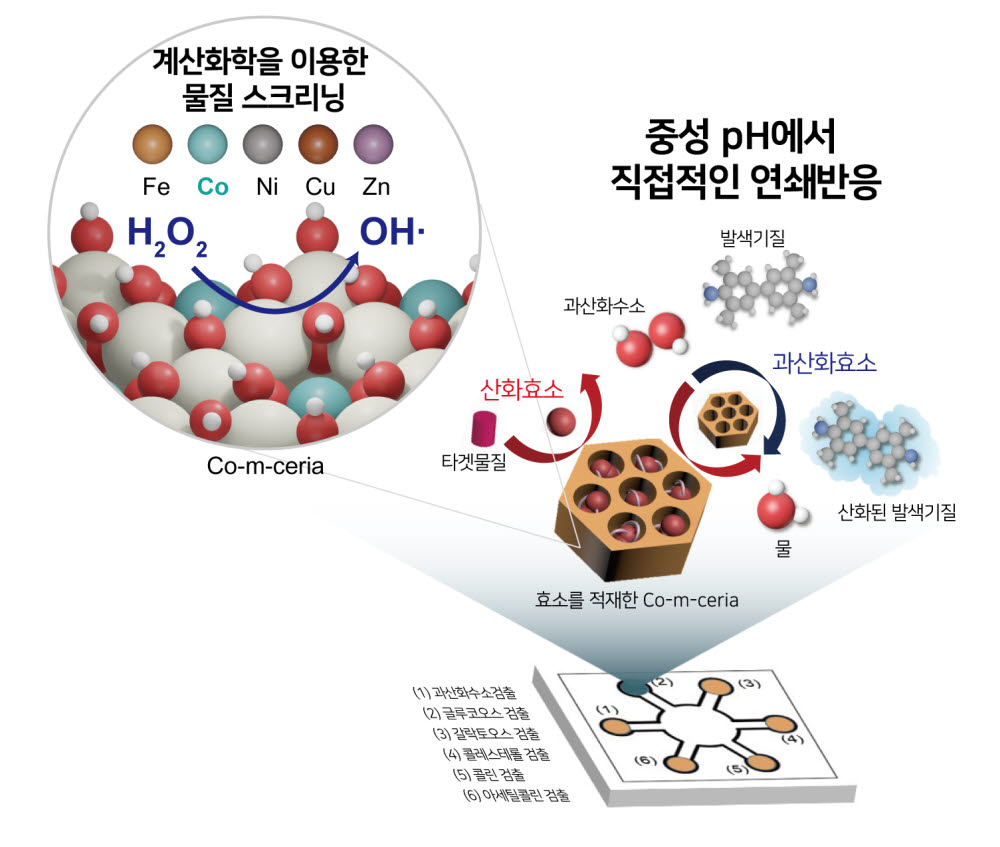 코발트를 도핑한 메조다공성 산화세륨은 5개 산화효소를 적재해, 6개 물질을 동시에 검출할 수 있는 종이센서로까지 적용된다.