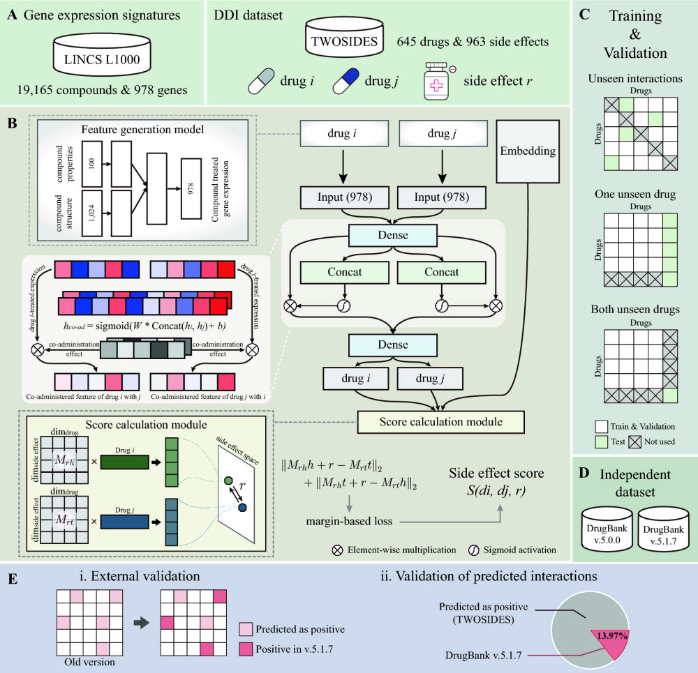 DeSIDE-DDI 모델 개요. 모델에 사용된 데이터, 모델의 상세 구조, 평가 및 분석 방법을 종합적으로 보여준다.