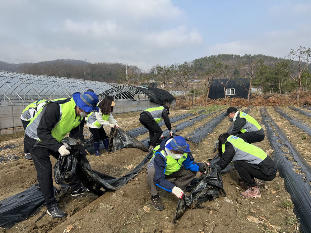 15일 김춘안 NH농협은행 농업·녹색금융부문 부행장과 임직원봉사단이 경기도 광주시 소재 농가에서 농지정비활동을 했다.