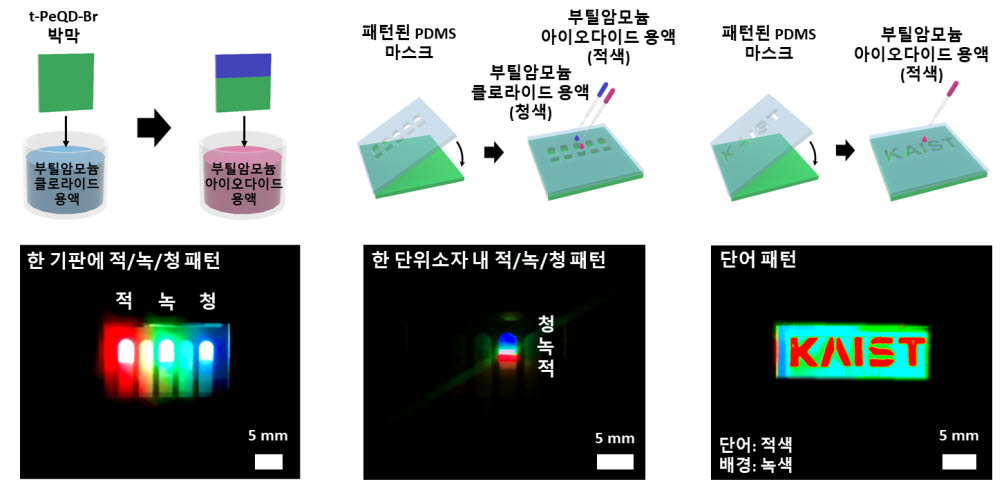 개발 공정을 이용한 패터닝 공정 모식도와 패턴된 전계 발광 다이오드 이미지