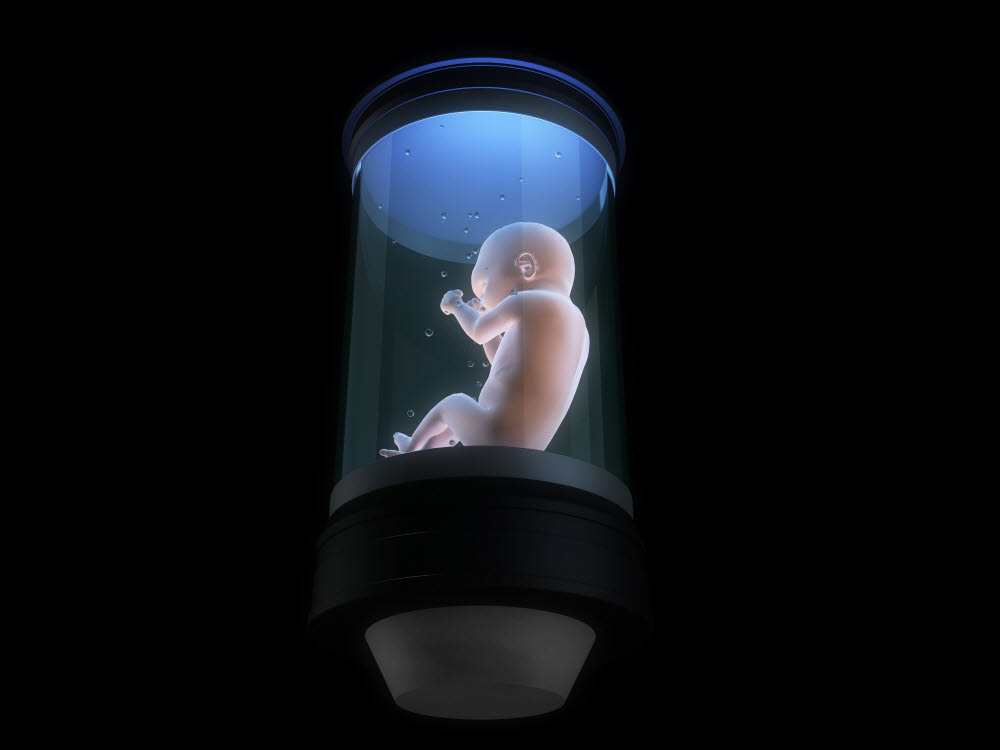 인공 자궁의 상상도. 인공 자궁 기술이 미래에 저출산 문제를 해결해 줄 수 있을지 귀추가 주목된다. (출처: Shutterstock)
