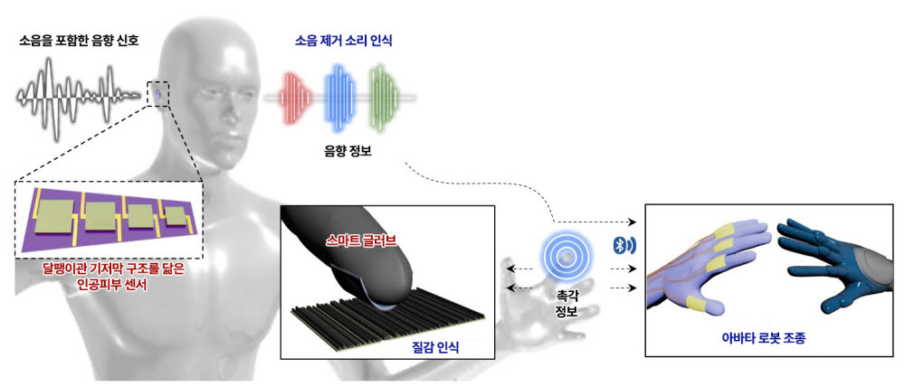 달팽이관 기저막을 모방한 인공피부 센서 작동 원리.