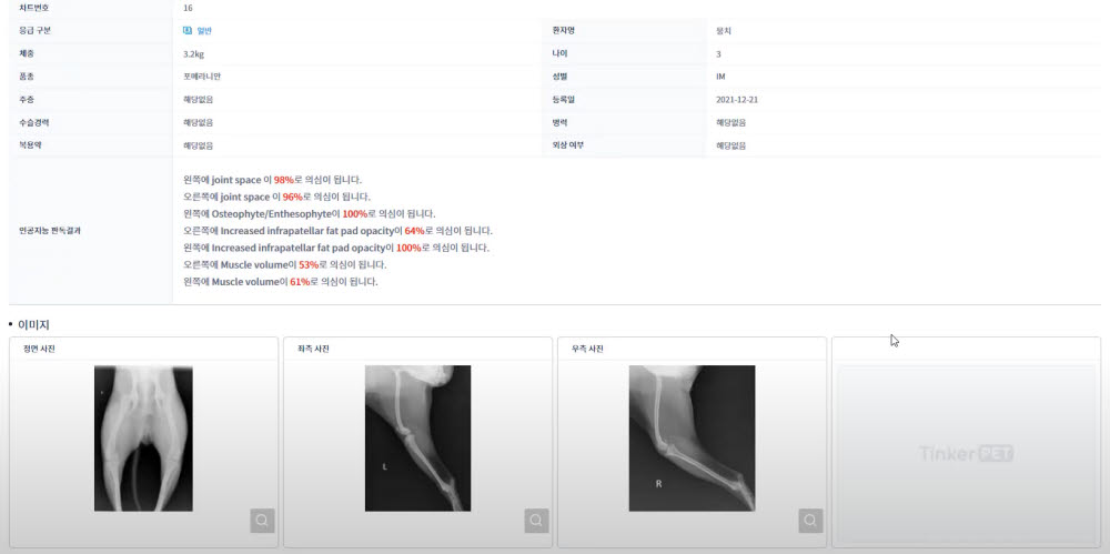 팅커펫으로 반려동물 엑스레이 영상을 AI 판독해 도출된 결과