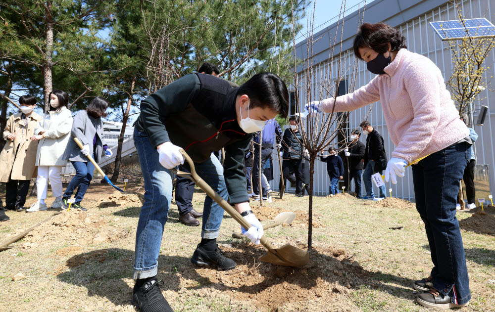 4일 세종시 정부세종청사 15동에서 문화체육관광부 직원들이 나무를 심고 있다.