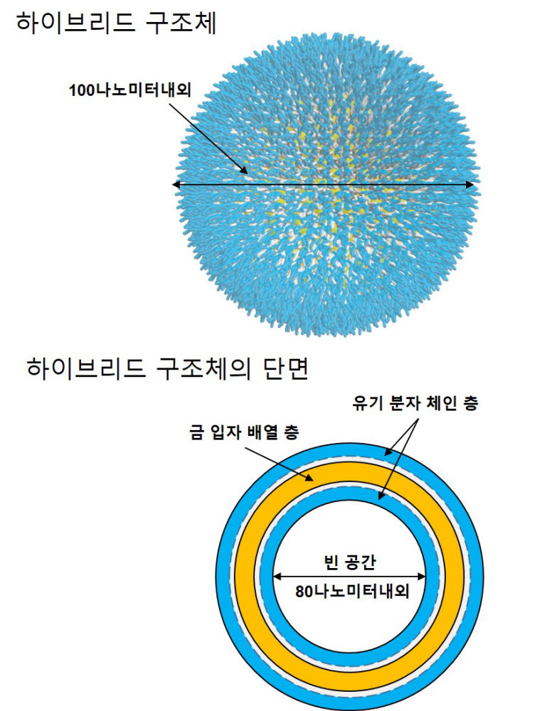 원자력연이 자체개발한 금 나노입자 구조체