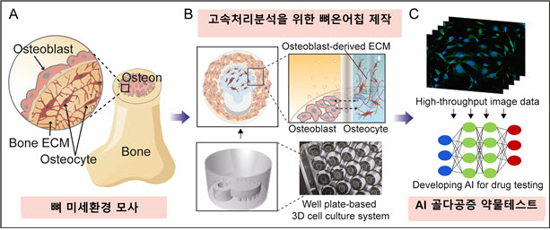 뼈모사칩 플랫폼 모식도