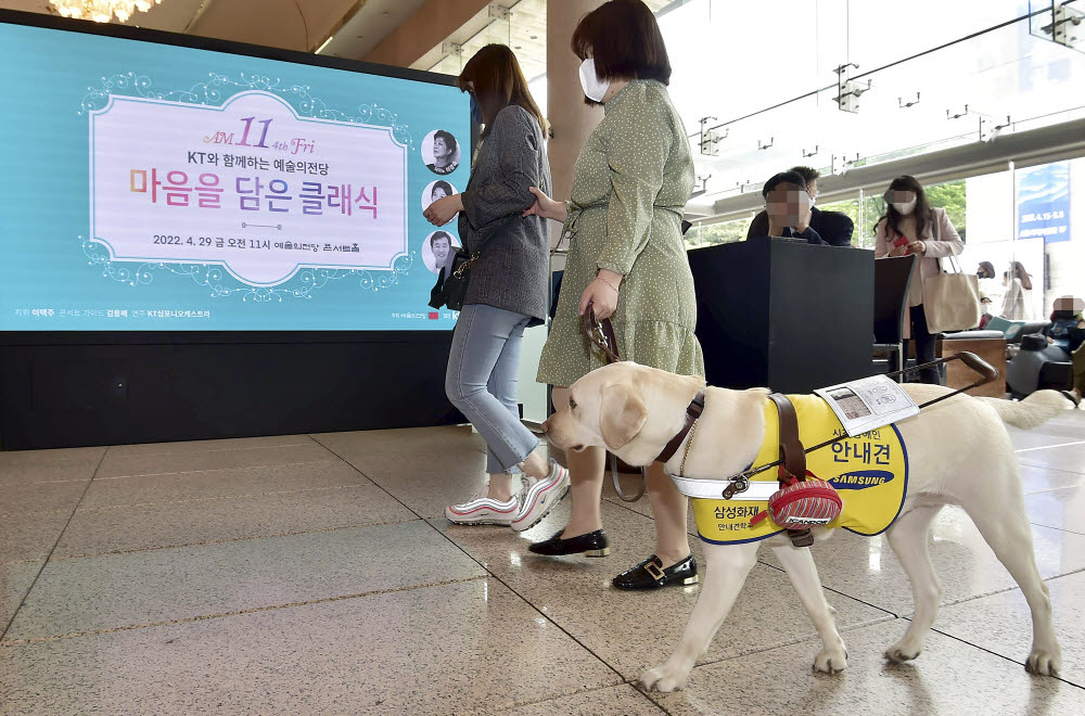 공연을 관람하기 위해 나눔재활센터의 시각장애인들이 안내견 화담이와 함께 공연장에 입장하고 있다.