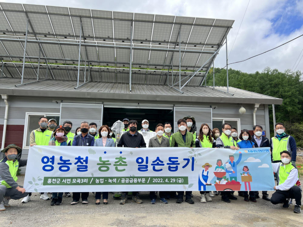 지난달 29일 NH농협은행 농업녹색금융 및 공공금융부문 김춘안 부행장과 직원들이 강원도 홍천군 모곡리 마을에서 일손 돕기 활동에 앞서 기념촬영 했다.