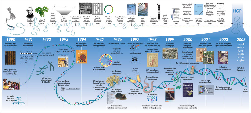 인간 게놈 프로젝트의 타임라인. (출처: Darryl Leja, NHGRI)