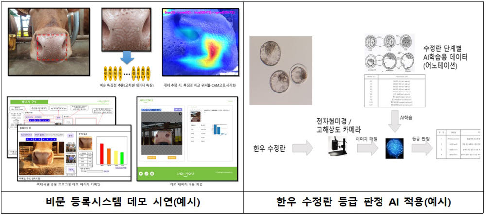 한우 인공지능 모델 개발 예시 이미지