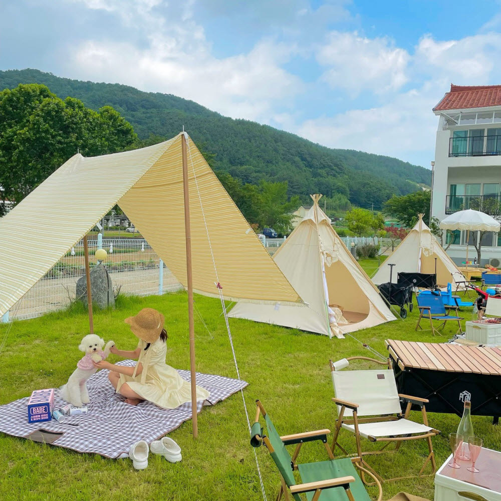 [티몬 추천픽]따스한동행 프로젝트 “동물과 공존하는 세상 만들어요”