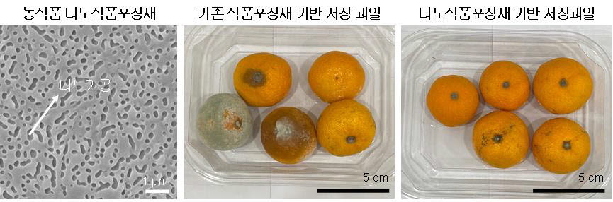 김장호 전남대 교수팀이 개발한 친환경 농식품 나노포장소재 성능 비교 사진.