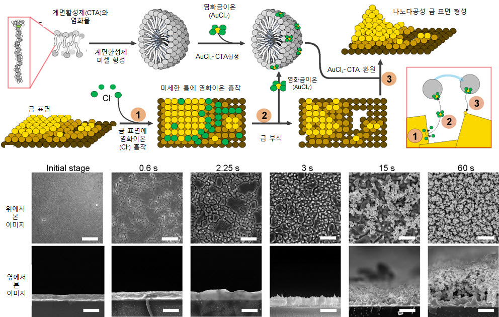 연구팀이 바이오센서 제작을 위해 활용한 나노구조 및 나노다공성 금 표면 생성 메커니즘