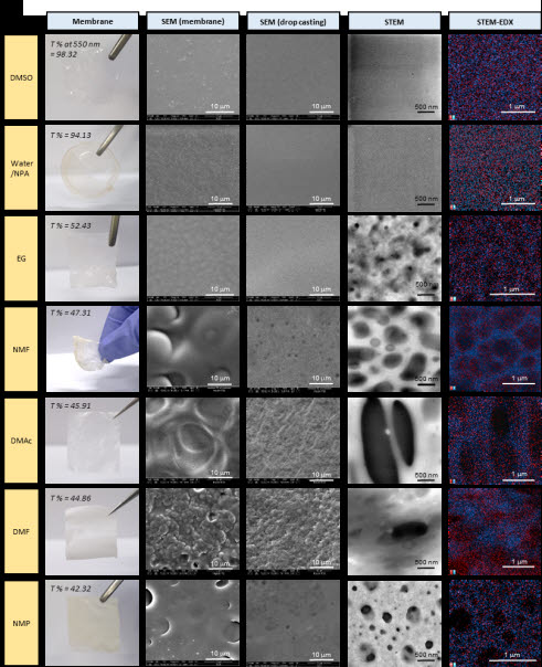 이오노머 분산 용매에 따른 양성화된 포스폰산 필름 모습과 전자현미경으로 살펴본 필름 미세구조 및 원소 분석