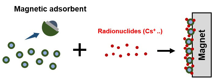 자성나노입자를 이용한 핵종 제거 기작 모식도