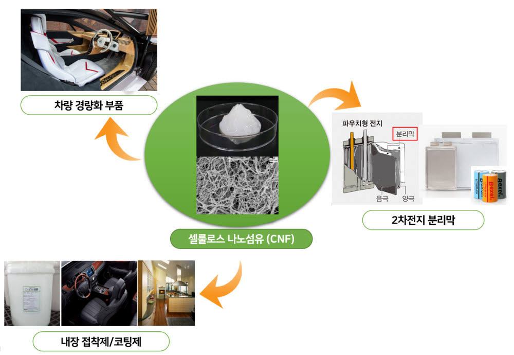 CNF 제품화 과정