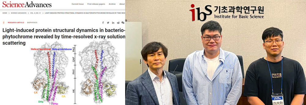 엑스선을 이용해 밝혀낸 파이토크롬 단백질의 구조와 참여 연구진. 김태우 목포대 교수(가운데), 이효철 기초과학연구원 단장(왼쪽), 이상진 KAIST 화학과 박사.