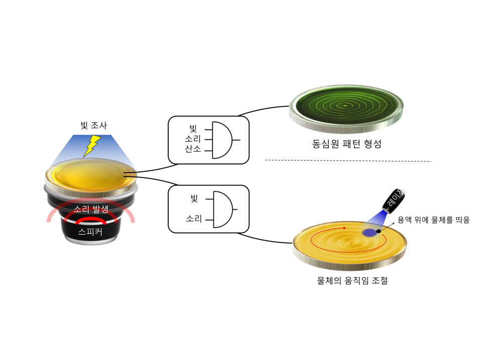 비평형 화학반응계가 특정 기능을 수행하는 과정을 불 논리로 해석