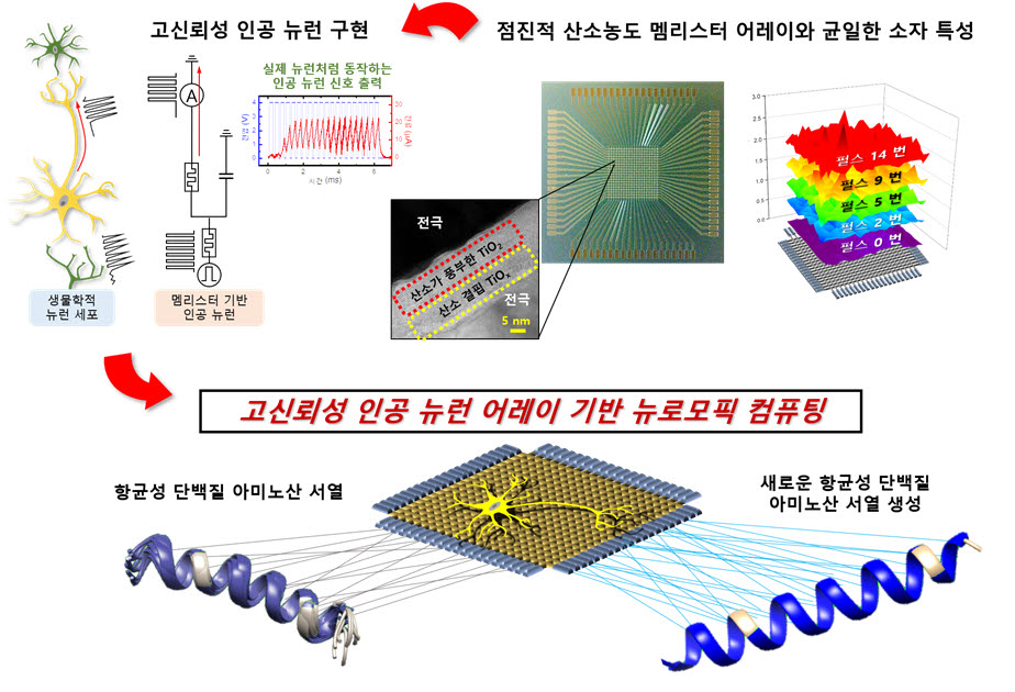 이번 연구에서 제작한 인공 뉴런 소자 어레이 및 인공 뉴런 구현 결과. 이를 통해 새로운 단백질을 생성하는 뉴로모픽 컴퓨팅를 구현할 수 있다.