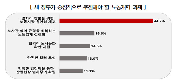 새 정부가 중점으로 추진해야할 노동개혁과제 (자료 경총)