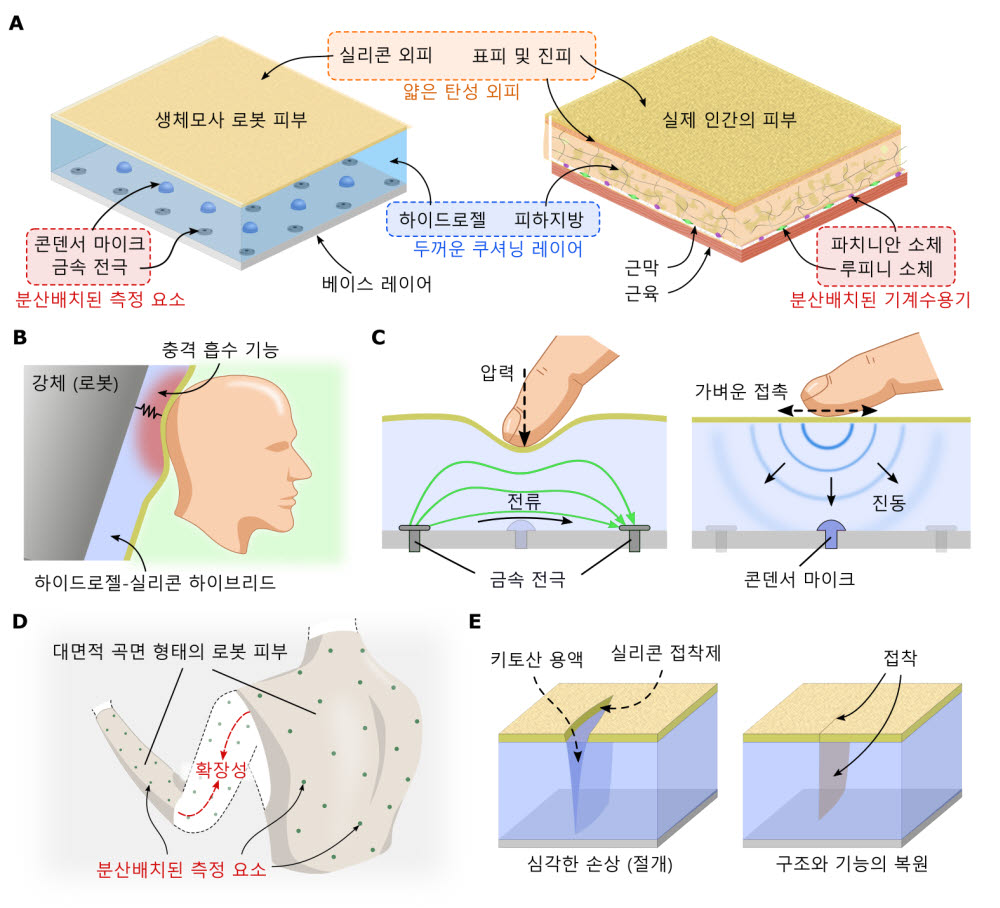 생체모사 다층구조 개념도와 충격흡수, 촉각 인지, 대면적 확장성, 치유능력 등 특징.