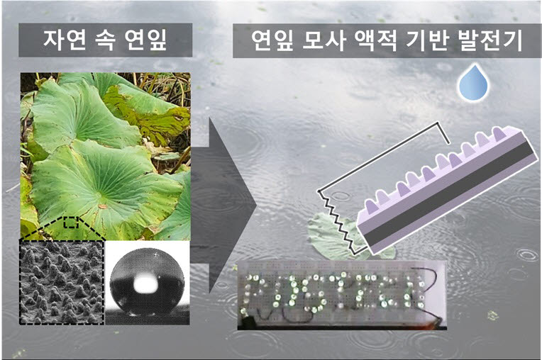 자연 속 연잎의 특징(마이크로미터(μL)·나노미터(nm) 크기의 표면구조로 물을 흡수하지 않고 튕겨낼 수 있음)을 모사한 액적 기반 발전기를 이용하여 LED를 점등한 모습