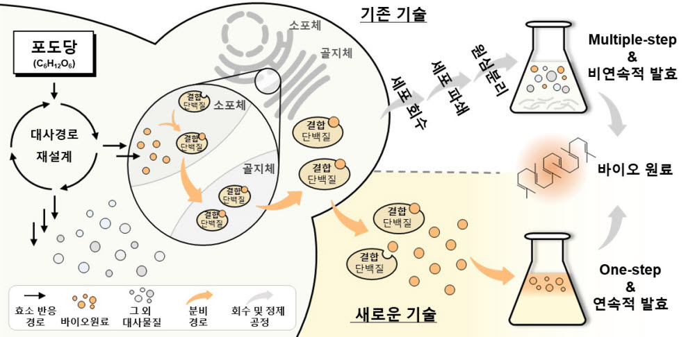 기존 기술이 세포를 파괴 및 분해 후 추출까지 여러 단계를 거치는 반면, 개발 기술은 이를 하나의 자동화된 단계로 획기적으로 줄였다. 또 기존 기술은 비연속적 발효에 그치는 반면, 새로운 기술은 연속 발효 공정이 가능해서 바이오원료의 생산량을 늘리는 데 효과적이다.