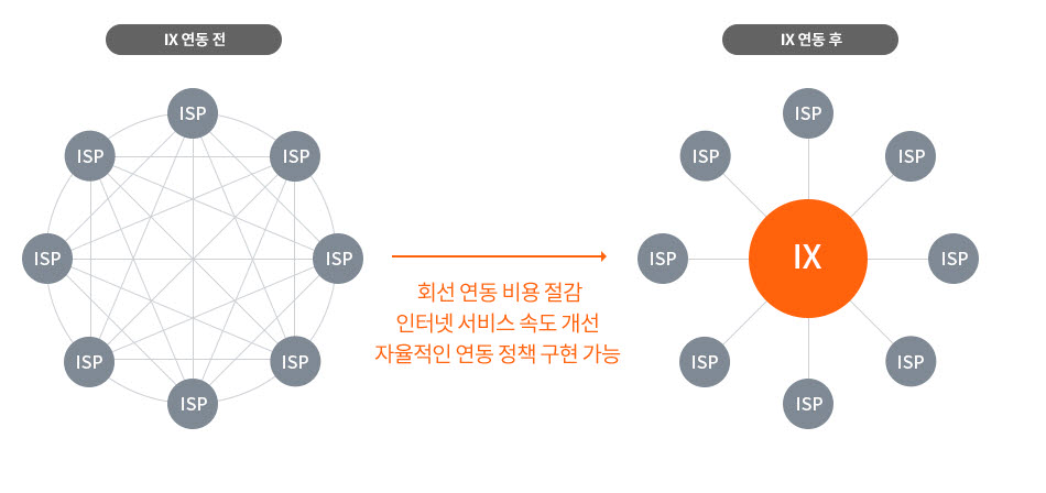 인터넷 교환노드 개념도(출처:KINX)