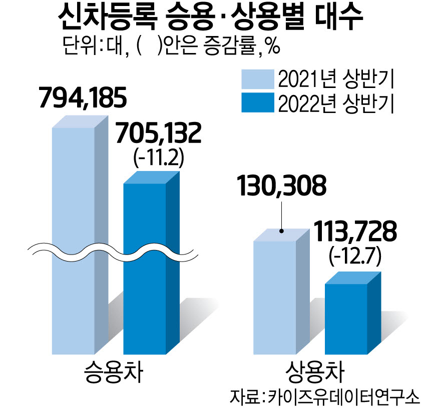 車 내수 2년 연속 '역성장'…"그랜저·쏘렌토도 3만대 불과"