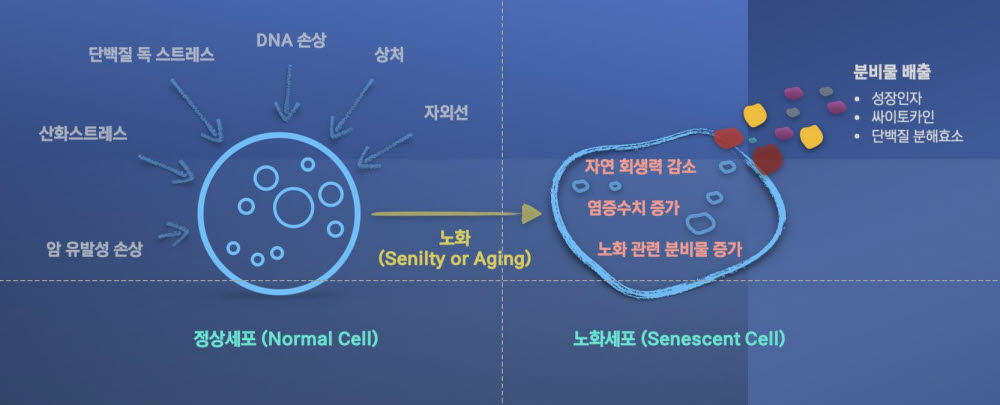 케이메디허브, 영남대와 표적단백질 발굴 및 약물개발 연구 추진
