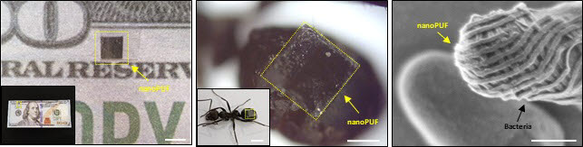 나노 크기 소형화 지문 패턴을 지폐, 개미,박테리아 위에 부착된 모습